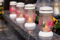 IMG_4505