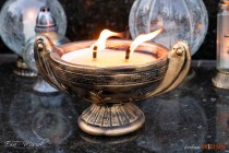 IMG_4517