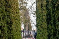 IMG_4518