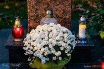 IMG_4595