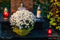IMG_4596