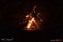 IMG_7843