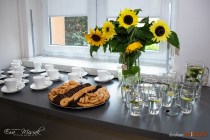IMG_6230