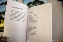 IMG_6345