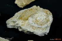 IMG_9804