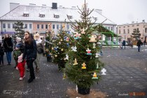 IMG_0165