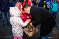 IMG_0245