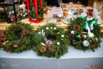 IMG_3469