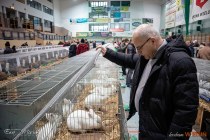 IMG_7247