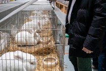 IMG_7253