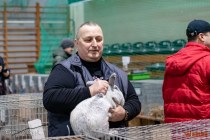 IMG_7266