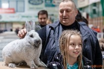 IMG_7276