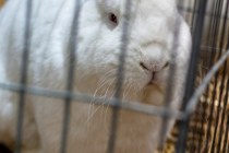 IMG_7317