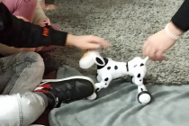 332605245_6010701429025058_11371277005685778_n
