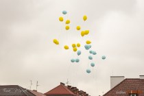 IMG_3975