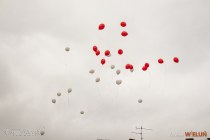 IMG_3977