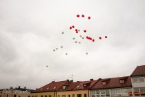 IMG_3979