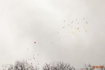 IMG_3988