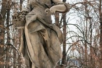 IMG_0531