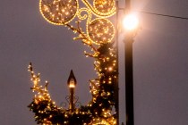 IMG_0657