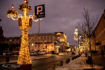 IMG_0667