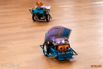 IMG_5464