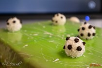 IMG_5874