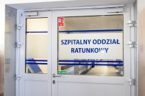 IMG_2949