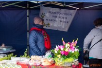 IMG_6681