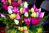 IMG_6685