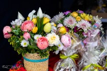 IMG_6687