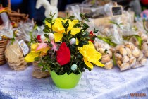 IMG_6690