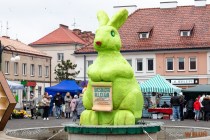 IMG_6714