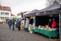 IMG_7453