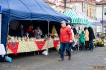 IMG_7485