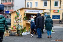IMG_7489