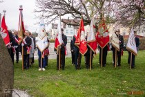 IMG_8722