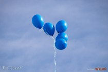 IMG_7827