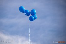 IMG_7828
