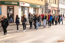IMG_7933