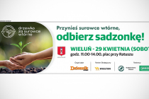 sadzonka