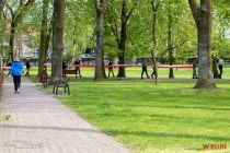 IMG_7604