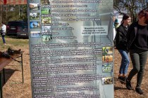 IMG_9695