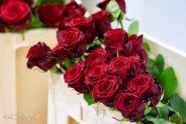 IMG_7577