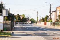 IMG_0985