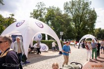 IMG_6658
