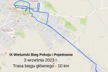 Organizacja-ruchu