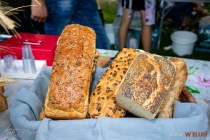 IMG_8530