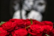 IMG_8851