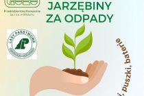 jarzebina